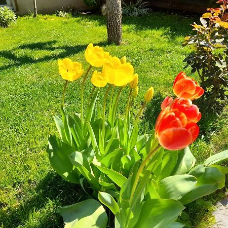 Green Garden Tbilisi Zewnętrze zdjęcie