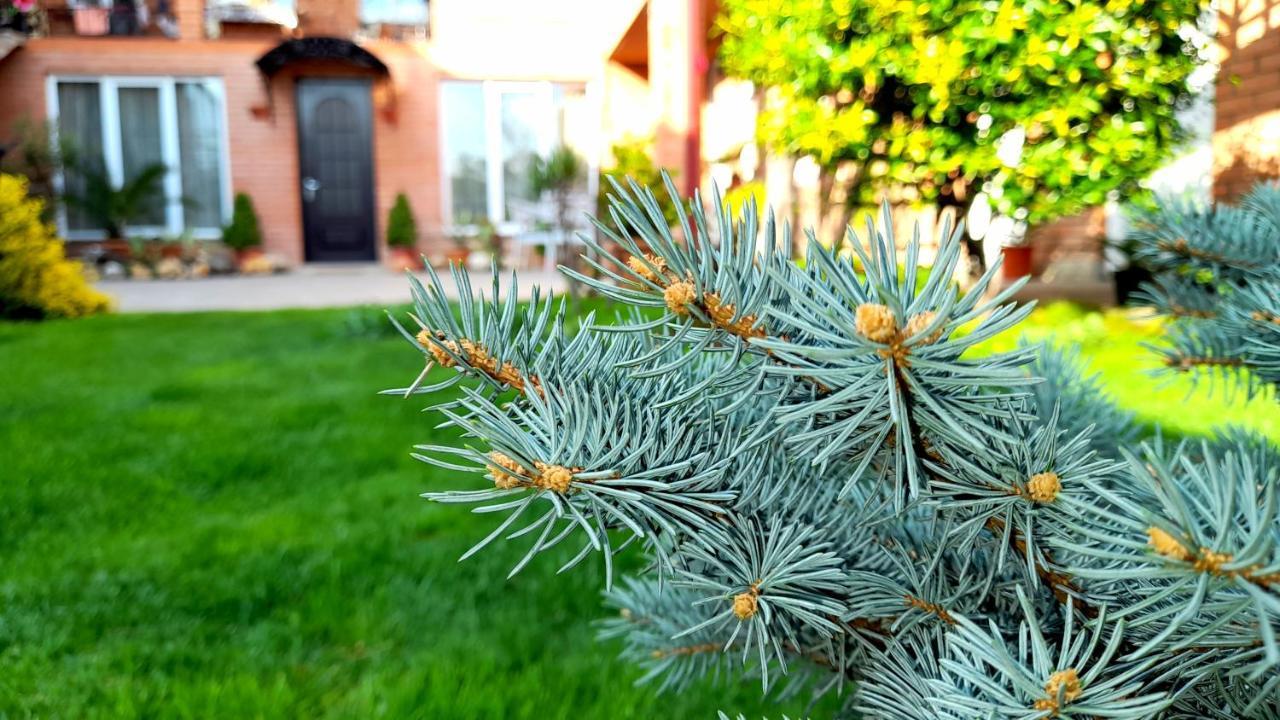 Green Garden Tbilisi Zewnętrze zdjęcie