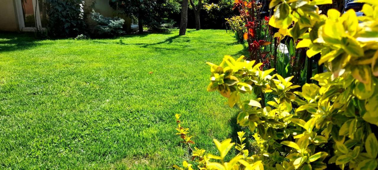 Green Garden Tbilisi Zewnętrze zdjęcie