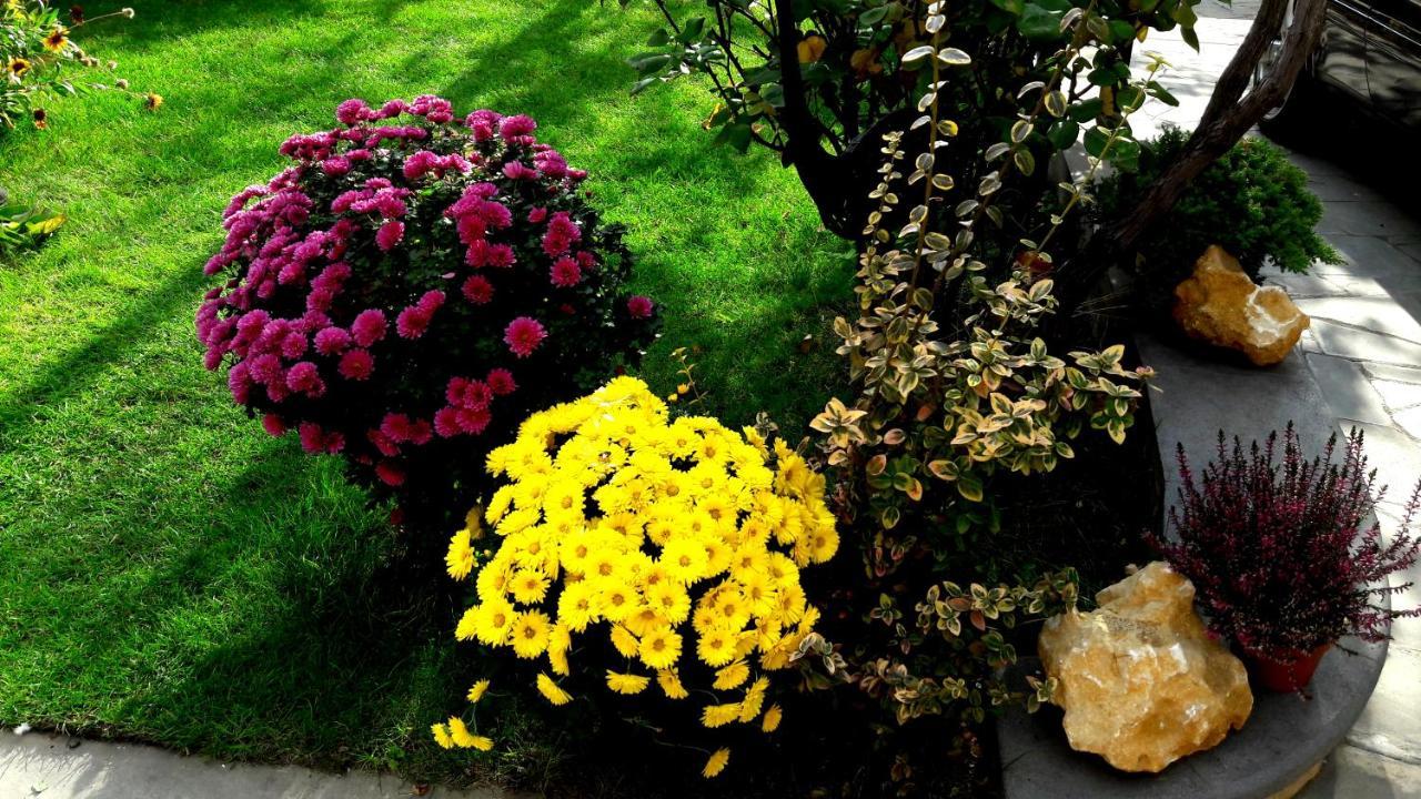 Green Garden Tbilisi Zewnętrze zdjęcie