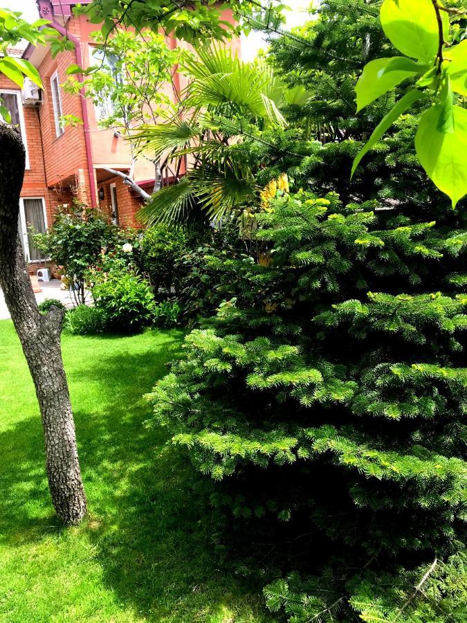 Green Garden Tbilisi Zewnętrze zdjęcie