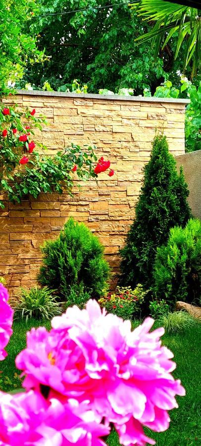 Green Garden Tbilisi Zewnętrze zdjęcie